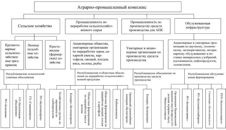 Агропромышленный комплекс РБ структура. Структура АПК схема. Схема агропромышленного комплекса России. Структура сельхозпредприятия схема.