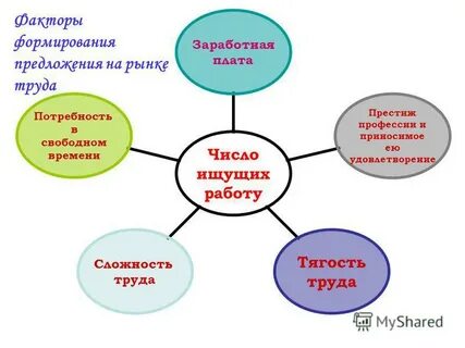 Кто формирует предложение на рынке труда