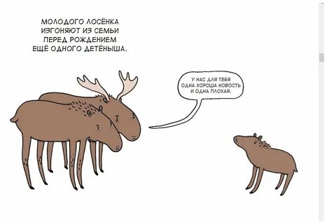 Прочитай факты