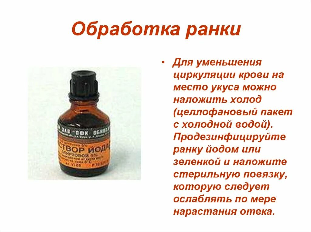 Чем обрабатывать рану после укуса. Йод при укусах насекомых. Зеленка при укусах насекомых.