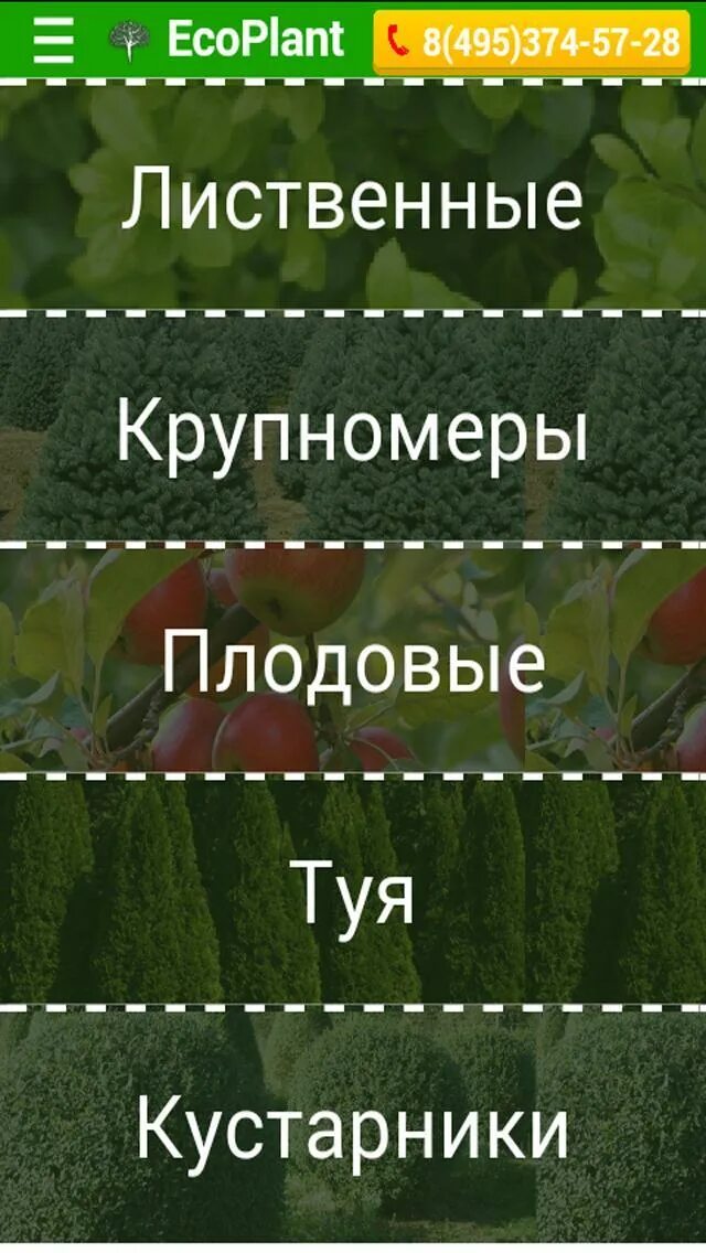 Экоплант питомник растений спб купить. Экоплант. Экоплант питомник растений Москва. Питомник Экоплант в СПБ. Экоплант удобрение.