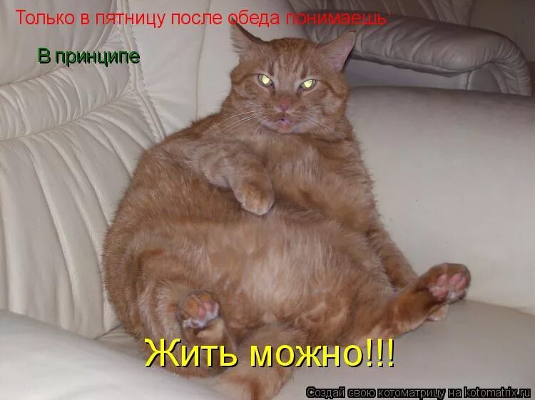 Работа это такое место где. Шутки про отчет. Где то после обеда. Смешные стишки про работу. Работа это то место где с утра хочется есть.