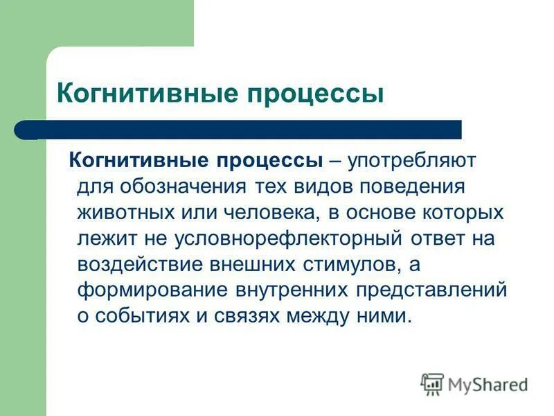 Внимание когнитивный процесс. Когнитивные процессы. Когнитивное поведение животных.