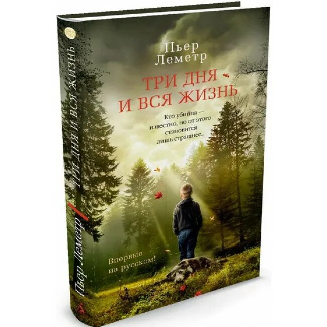 День и вся жизнь содержание. Три дня и вся жизнь книга. книга жизни. книга для…. пьер леметр три дня.