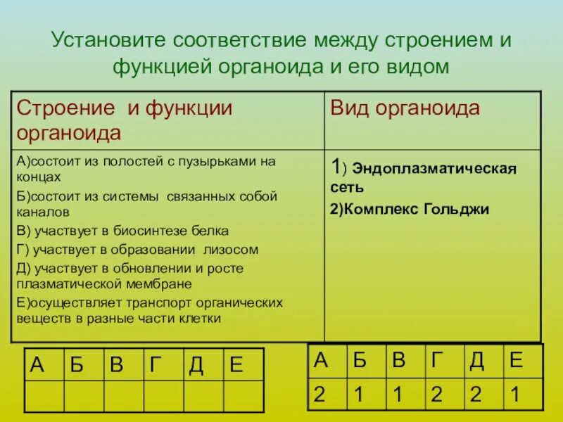 Установите соответствие между ис. Установите соответствие между строением и функцией. Установите соответствие строение и функции. Соответствие между органоидами клетки и их функциями. Установите соответствие между функциями.