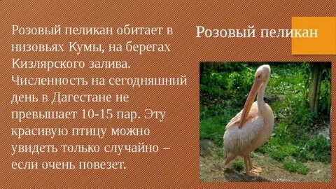 Животные красной книги дагестана