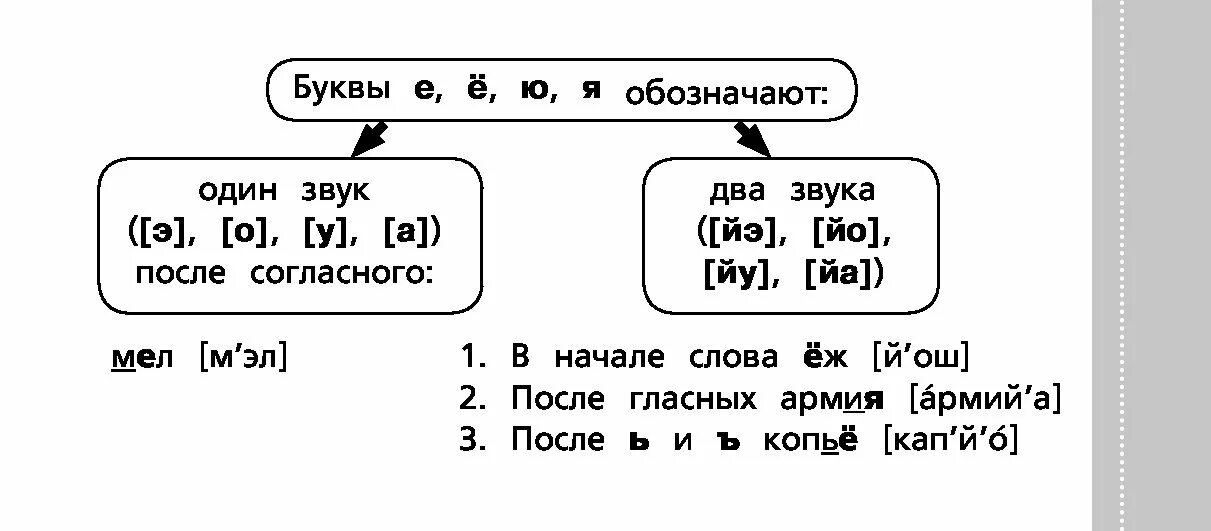 Обозначают два звука. Буква е обозначает два звука правило. Е Ё Ю Я обозначают два звука. Правило букв е ё ю я.