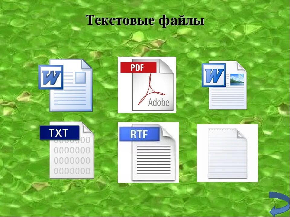 Text file