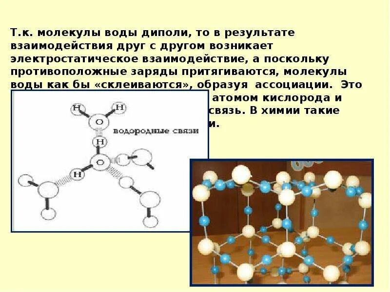 Молекула образуется в результате взаимодействия