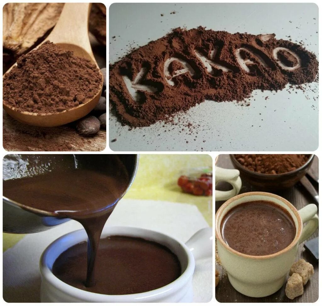 Чем отличается какао от горячего. Какао. какао-порошок. шоколадный порошок. какао напиток.