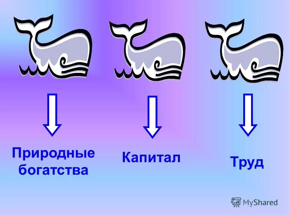 3 кита экономики 3 класс. Три кита экономики. Три кита основа экономики. Природные богатства капитал труд. Три кита окружающий мир.