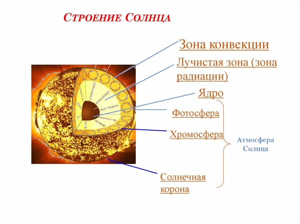 Внутреннее строение солнца схема. Внутреннее строение солнца Фотосфера. Внутреннее строение солнца атмосфера солнца. Строение солнца Фотосфера хромосфера корона. Верхний слой солнечной атмосферы