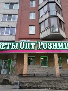 Цветоптторг магазины в спб