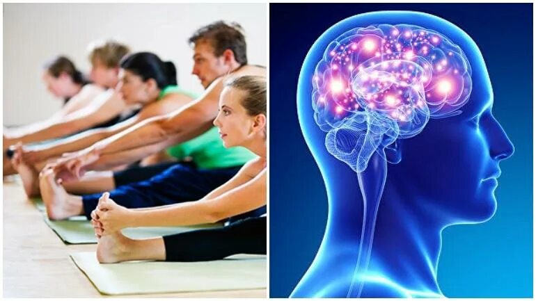 Мозг человека как улучшить работу. Физическая и умственная активность. Физические и умственные способности. Физическая и интеллектуальная активность. Физические упражнения для умственной активности мозга.