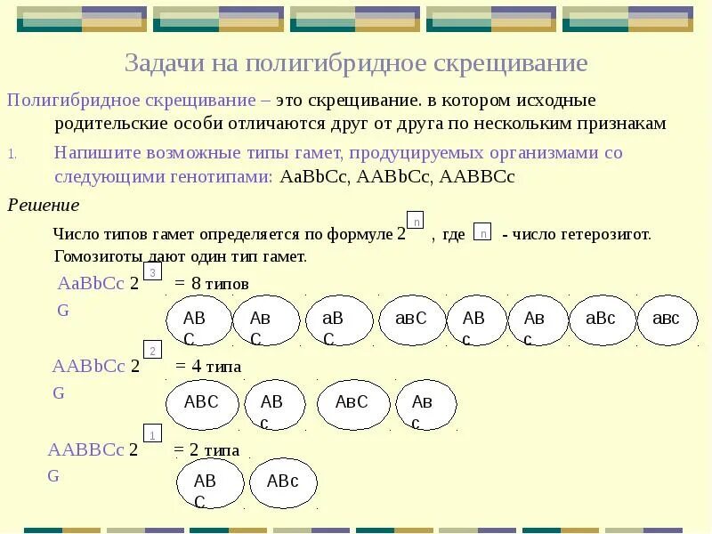 Генотип ааввсс образует. Типы задач по генетике схема. Полигибридное скрещивание задача генетика. Полигибридное скрещивание задачи с решением 10. Полигибридное скрещивание схема.