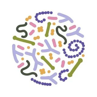 Вектор пробиотики