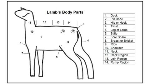 Lamb перевод