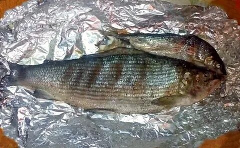 Хариус вкусная рыба