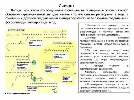 Жиры и липиды таблица