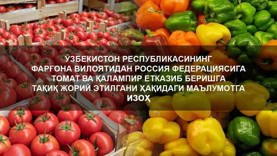 Давлат. Қалампир ўз ўзбекистон ва. Қалампир ўз ўзбекистон ва. Дониёр ганиев. Сенат ташкент.