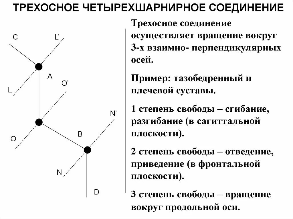 Степенью свободы называется. Степени свободы суставов биофизика. Степени свободы суставов биомеханика. Степени свободы движений в биомеханике. Число степеней свободы биомеханика.