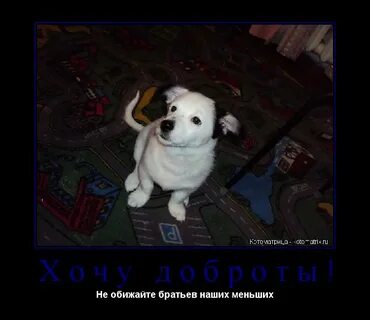 Обижаешь брат
