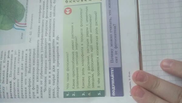 Синтез органических из неорганических. Фотосинтез кратко. Процесс фотосинтеза. Какие приспособления к улавливанию световой энергии. Какие приспособления к улавливанию световой энергии.