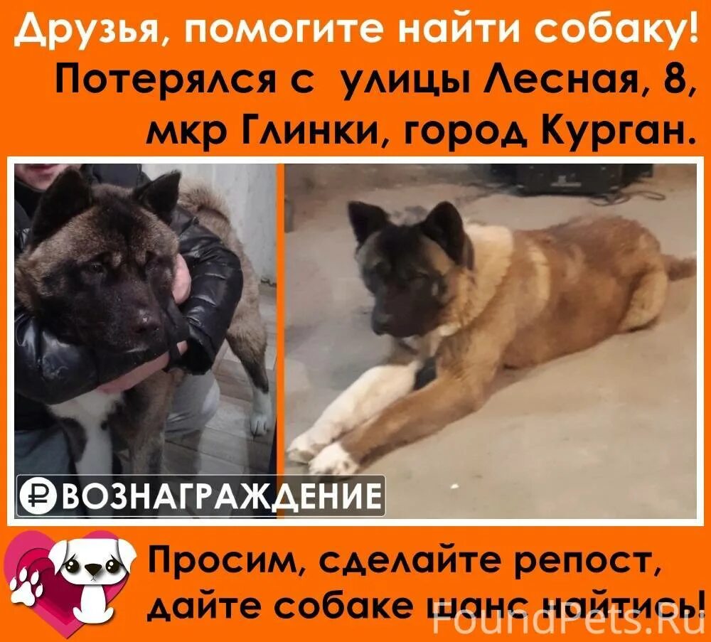 Помогаю репостом