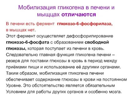 Мобилизация гликогена в печени
