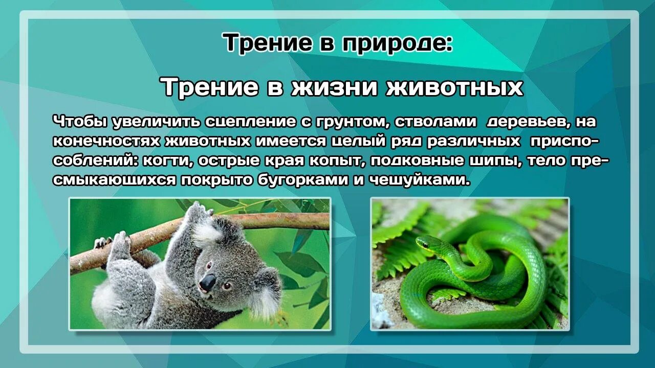 Альбом "Трение: польза или вред?