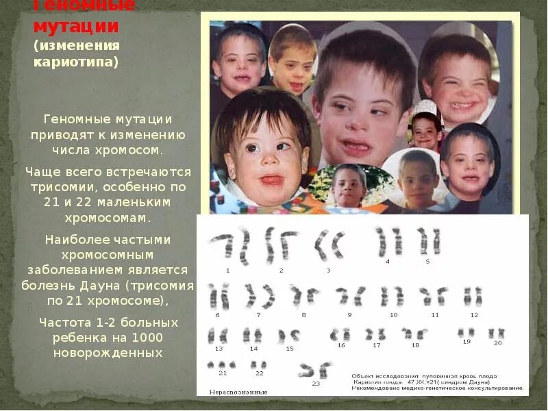 Мутация при которой неоднократно изменяется число хромосом