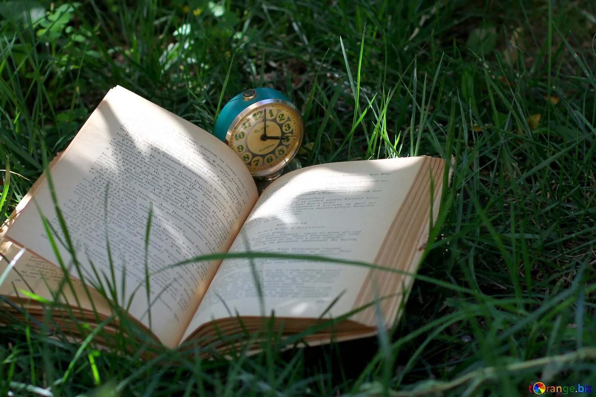 Книга на траве. Раскрытая книга. Книги на траве красивые. Раскрытая книга на траве. Открытая книга роли