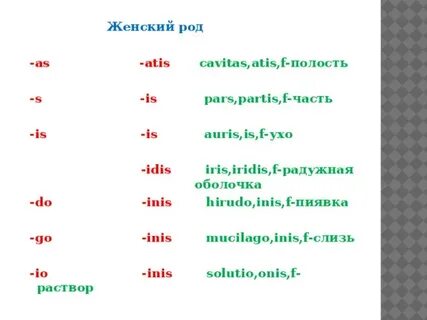 Женский род в латинском языке окончания