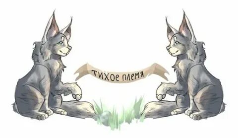 Тихое племя