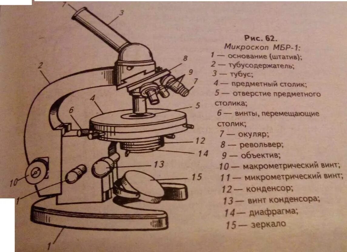 Микроскоп МБР 1 строение. Схема микроскопа МБР 1. Микроскоп МБР-1 рисунок строение. Строение микроскопа Биолам -70. Какую часть выполняет тубус