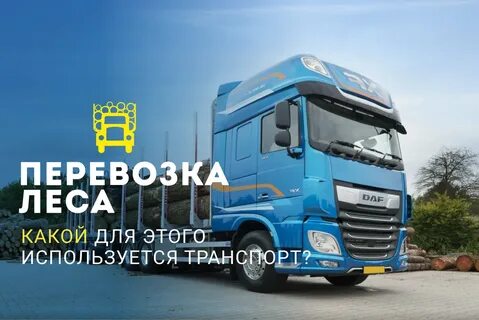 Компания авто отзывы