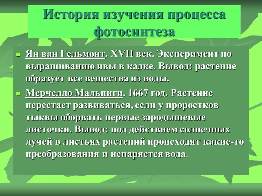 Значение в области какой ботанической. Изучение процесса фотосинтеза. Биологическая наука изучающая фотосинтез. Фотосинтез какая Ботаническая наука. Какая наука изучает фотосинтез.