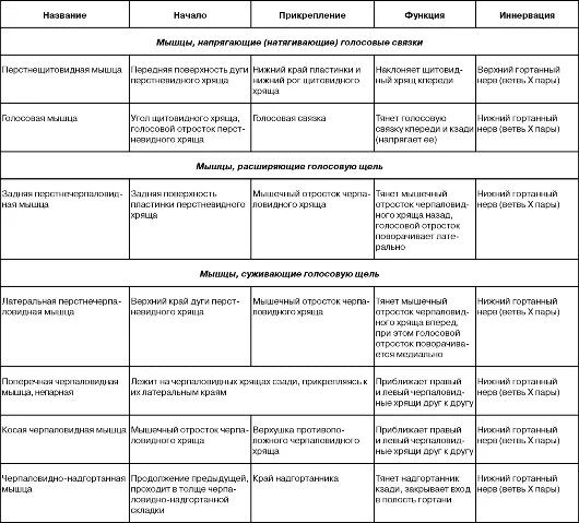мышцы гортани функции таблица. мышцы гортани таблица. мышцы гортани таблица. анатомия горла человека. хрящи гортани таблица.