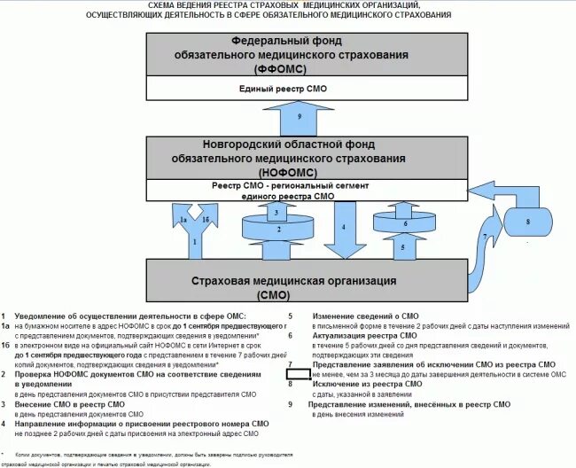 Ффомс какой. Федеральный фонд медицинского страхования. Деятельность страховых медицинских организаций. Медицинские учреждения в системе медицинского страхования. ФФОМС И ТФОМС.