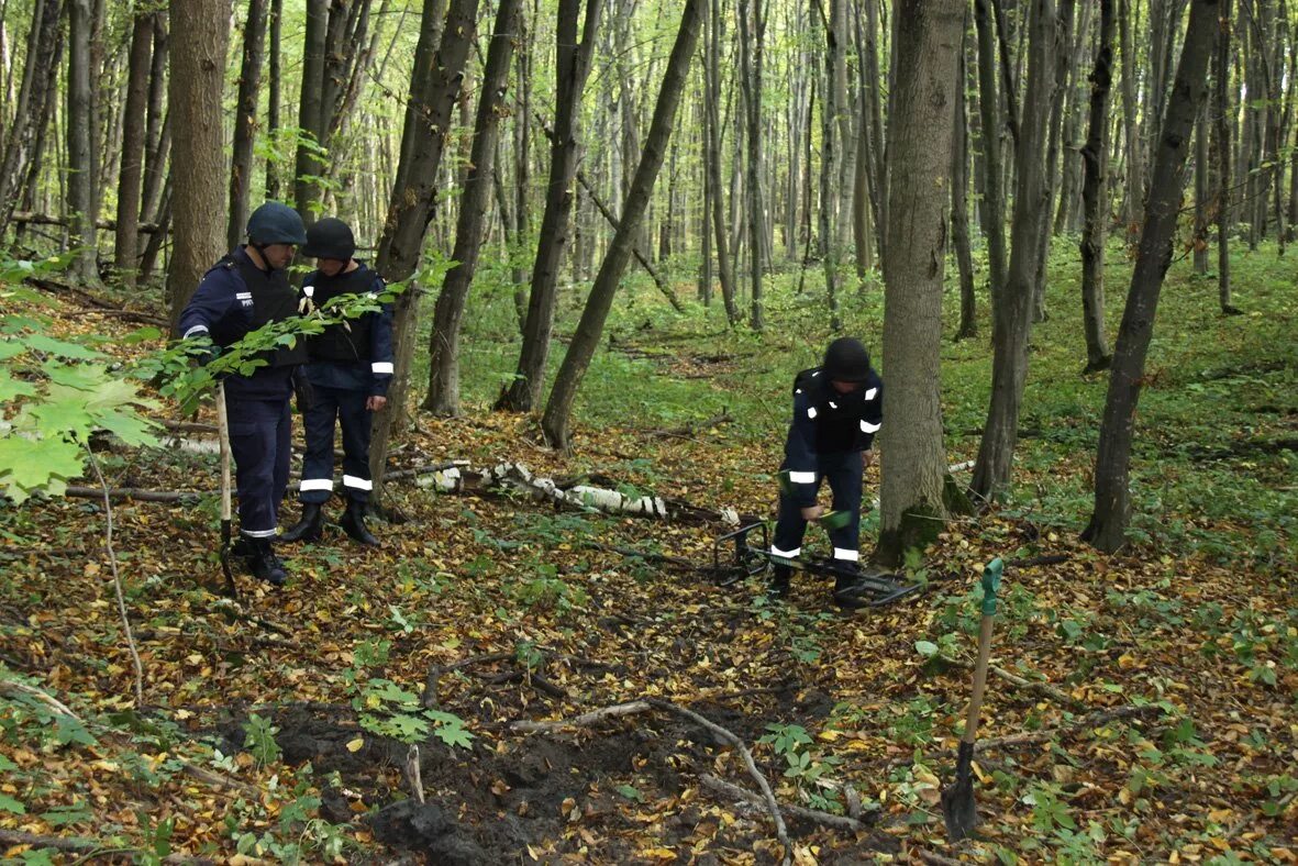 Убивают людей в лесу. Полиция в лесу.