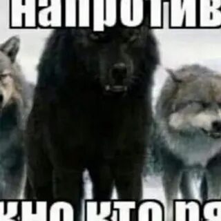 Тот кто напротив 6 букв