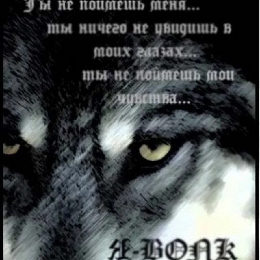 Волчья судьба песни. Одинокие волки. Судьба волка. Я волк одиночка. Одинокий волк надпись.