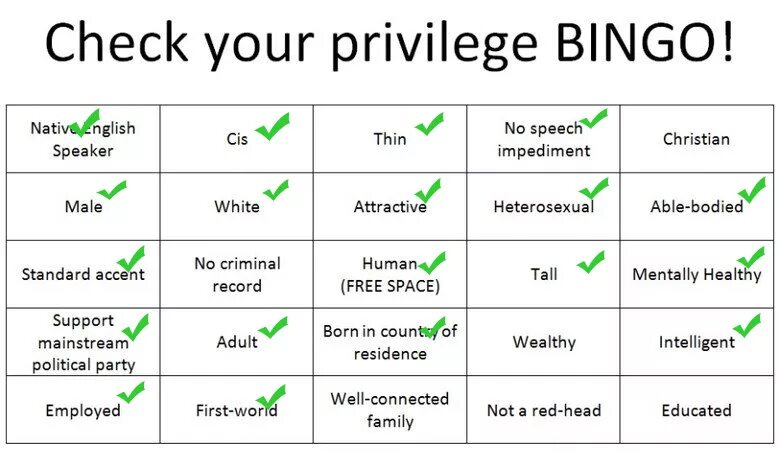 Checkyour name com сайт. Check your Privilege. Check your Privilege на русском. Privilege инструмент. Check your.