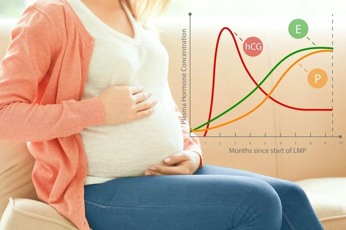 Забеременеть стоя можно. Гормональный фон беременной женщины. Беременность изменения. Гормоны у беременных. Изменения беременной женщины.