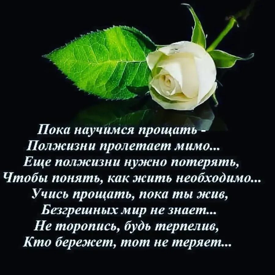 Стихи о прощении обид. Прости меня цитаты. Красивые стихи о любви и жизни. Стихи о прощении обид мужчине. Высказывания о прощении.