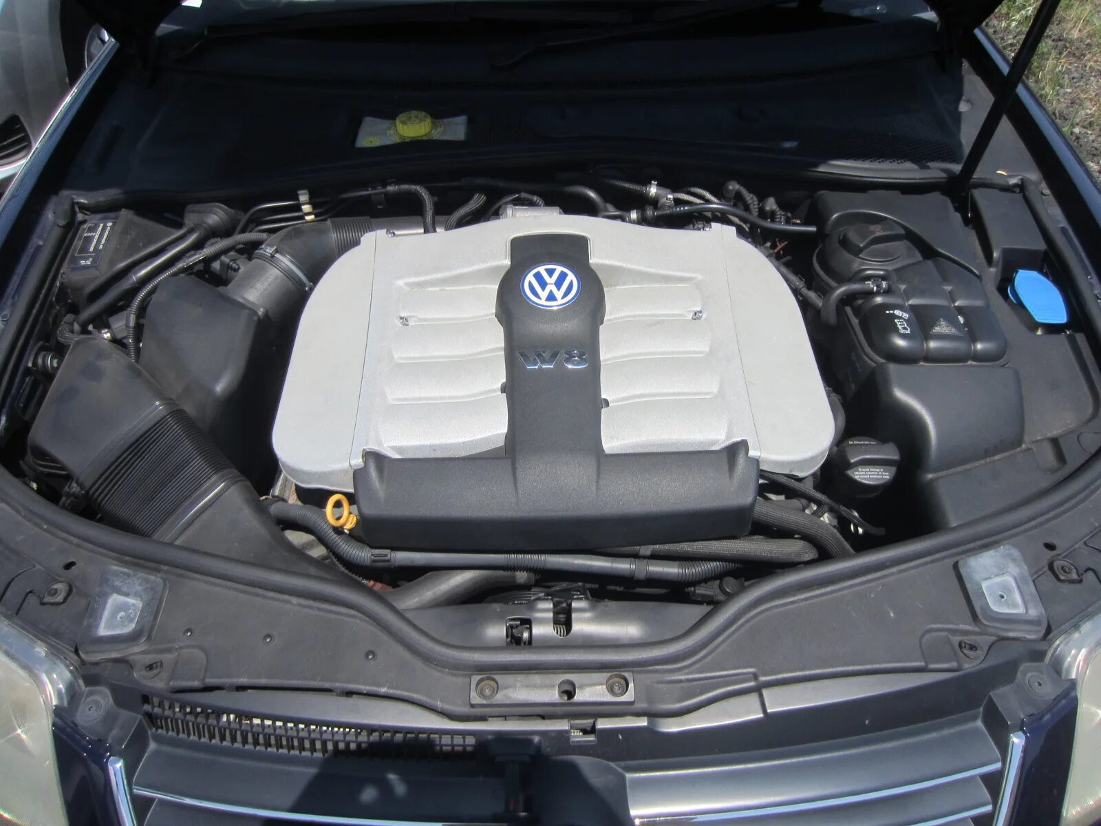 A 12 b 5 6. Passat b5 w8. Мотор w8 Passat b5. VW Passat b5 w8. Пассат б5 w8 4.0.