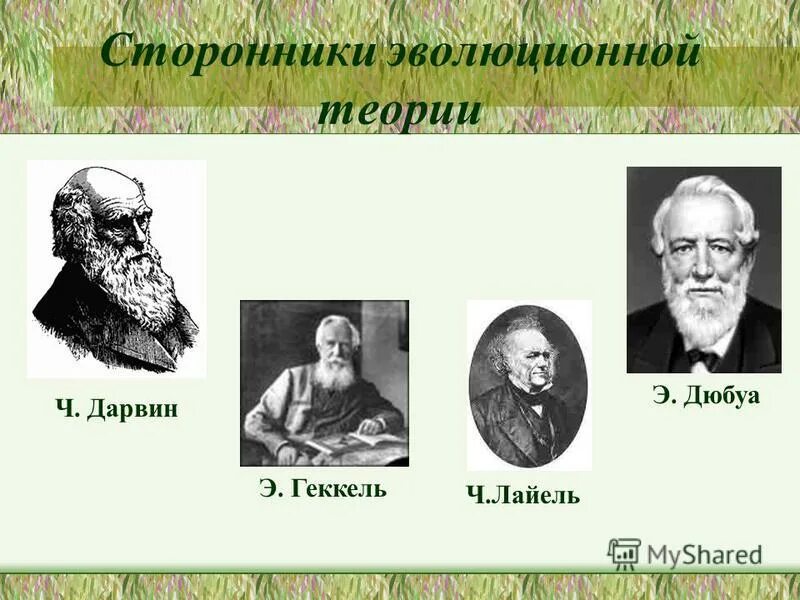 Ученые приверженцы. Гипотеза Чарльза Дарвина сторонники. Сторонники эволюционной теории Дарвина. Сторонники теории ч Дарвина. Гипотеза Дарвина сторонники теории.