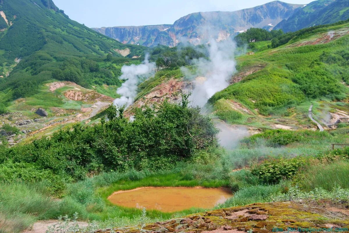 Камчатка кроноцкий заповедник гейзеры. Кроноцкий заповедник гейзерная долина. Долина гейзеров, камчатка. Гейзерная долина на камчатке. Долина гейзеров заповедник.