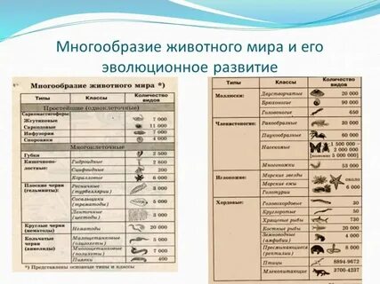 По биологии поведение животных конспект 8 класс