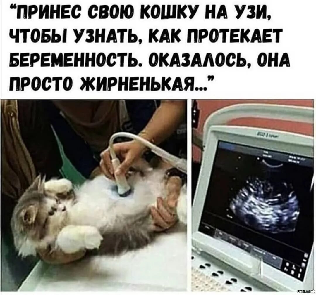 Оказалась не беременна
